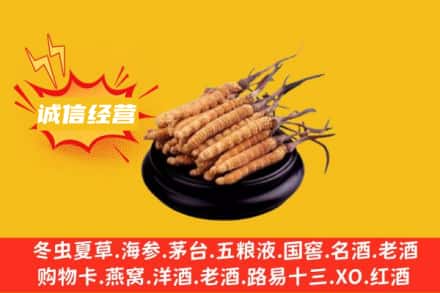西双版纳景洪市回收冬虫夏草